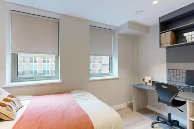 Social Studio Plus - Mid Level main photo