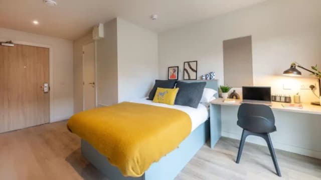 Standard Studio main photo