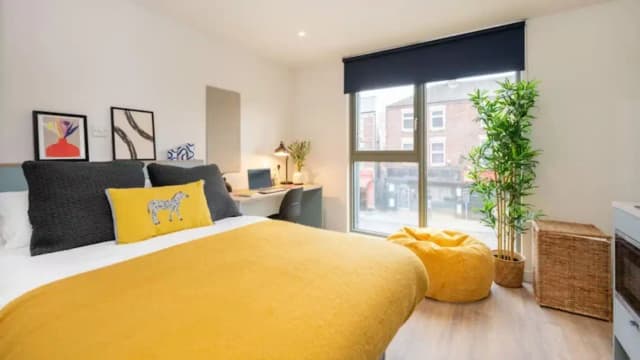 Silver Studio main photo