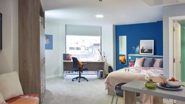 Premium Plus Studio main photo