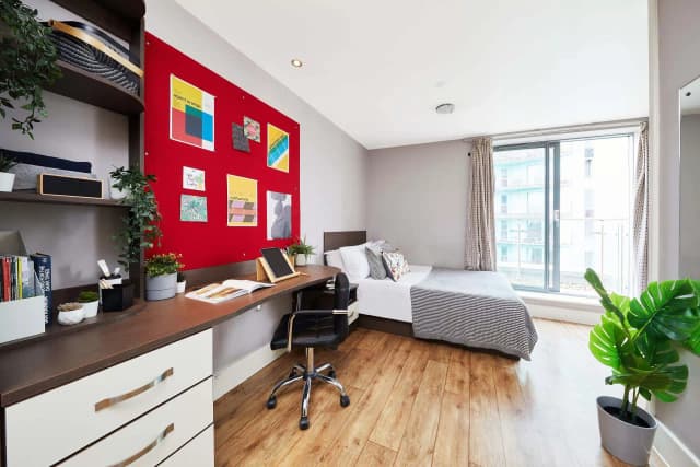 Compact Studio main photo