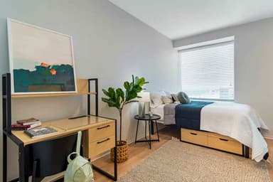 Place Preview main user avatar