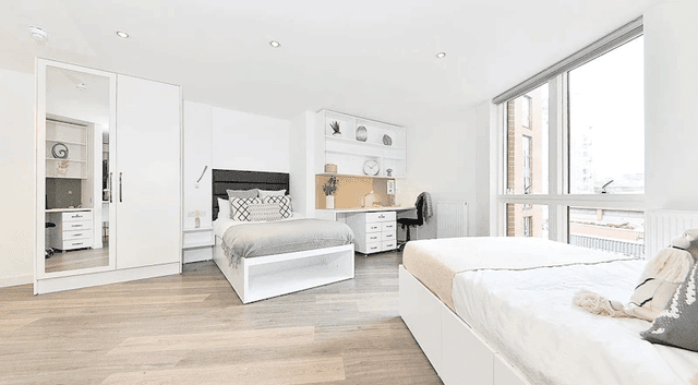 Premium Twin Studio main photo