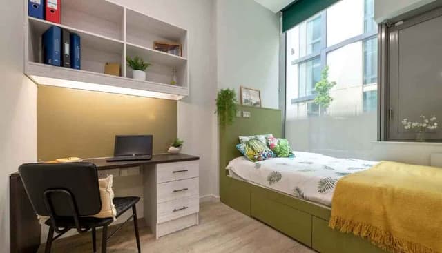 Premium Plus Studio main photo