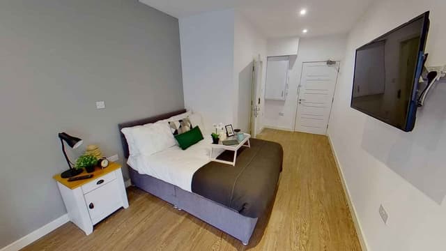 Luxury Studio main photo