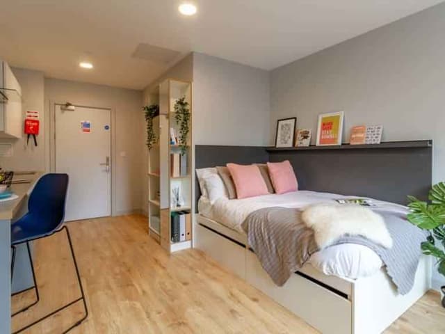 Deluxe Penthouse main photo