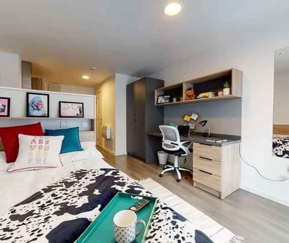 Studio Diamond Lower Level main photo