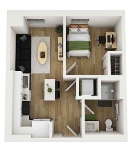 1 Bedroom 1 Bathroom | 1x1 main photo