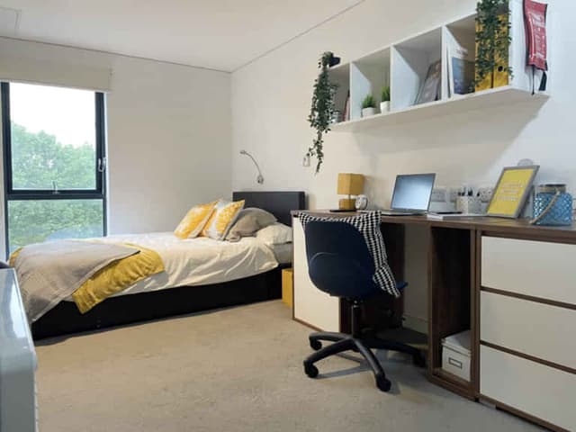 Classic Studio - Private Access main photo