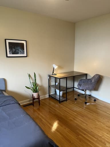 Place Preview main user avatar