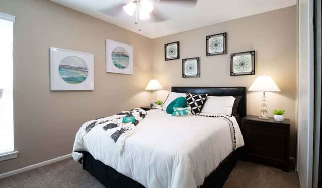 1 Bed 1 Bath main photo
