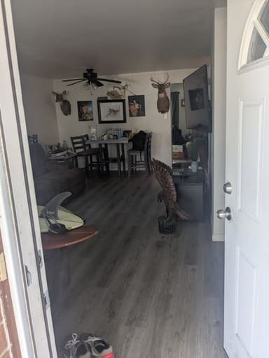 Place Preview main user avatar