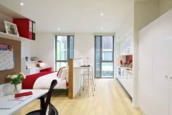 Premium Studio - Lower Floors main photo