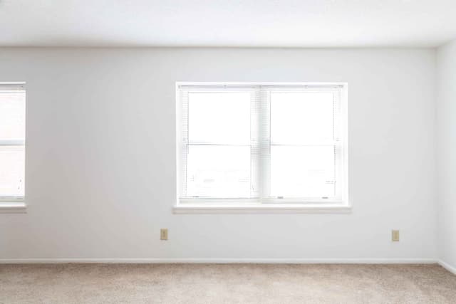 1 Bed 1 Bath main photo