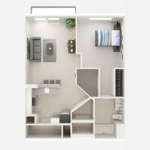 1B (1 Bed 1 Bath) main photo