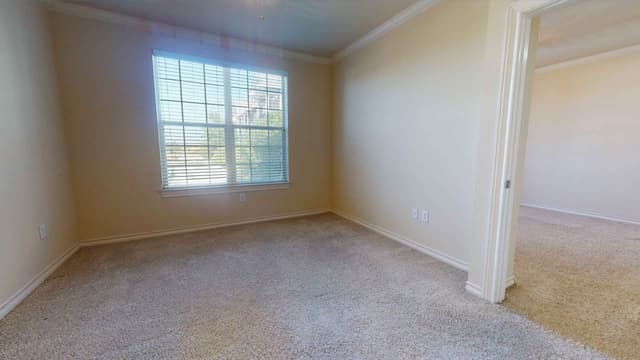 1A (1 Bed 1 Bath) main photo