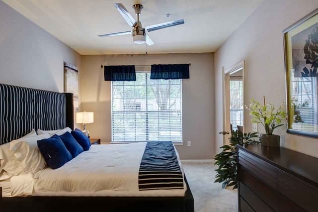 1 Bed 1 Bath main photo