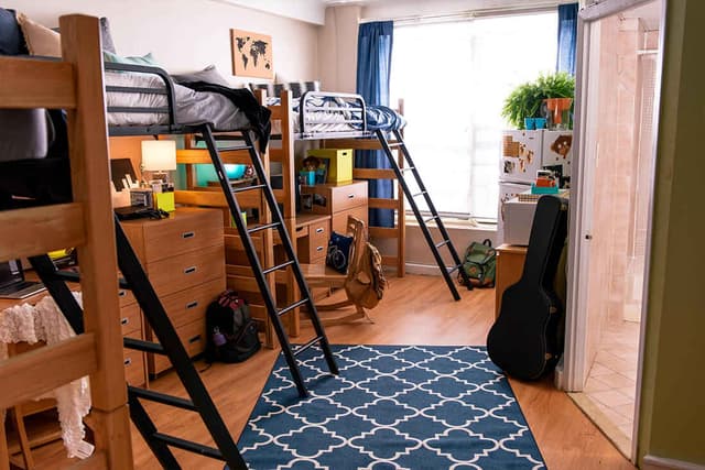 Lofted Triple main photo