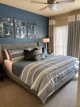 1 Bed 1 Bath main photo