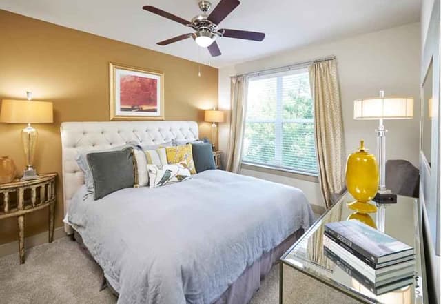 1 Bed 1 Bath main photo