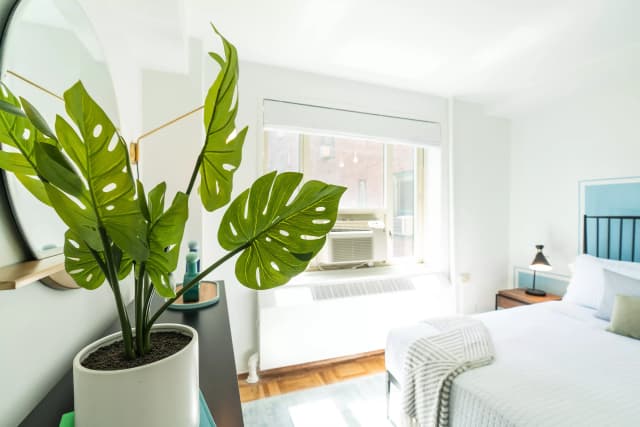 4 Bed 1 Bath main photo