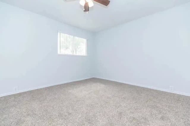 2 Bed 1 Bath main photo