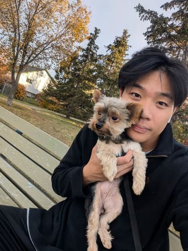 Profile Picture main user avatar