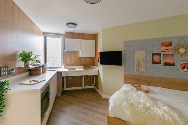 Extra Large Double Studio main photo