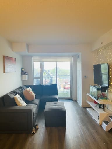 Place Preview main user avatar