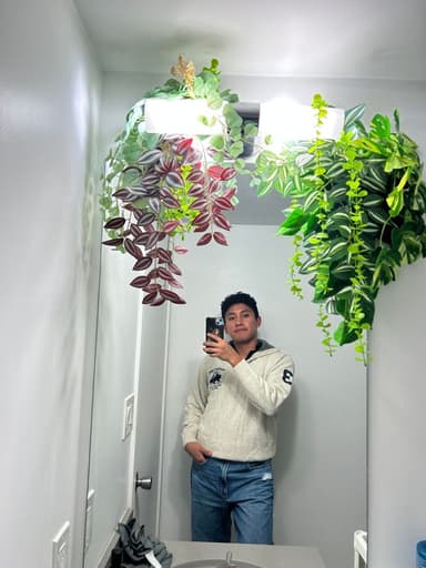 Profile Picture main user avatar