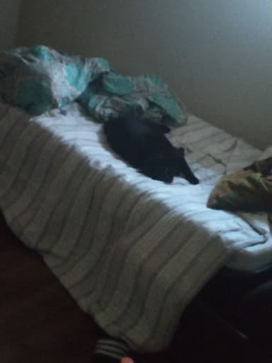 Place Preview main user avatar