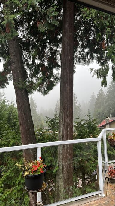 Place Preview main user avatar