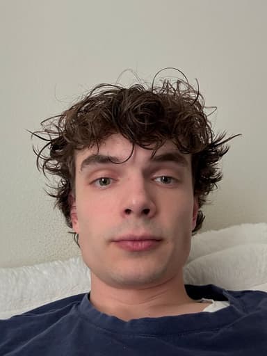 Profile Picture main user avatar