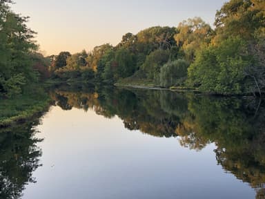 Place Preview main user avatar