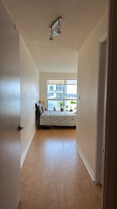 Place Preview main user avatar