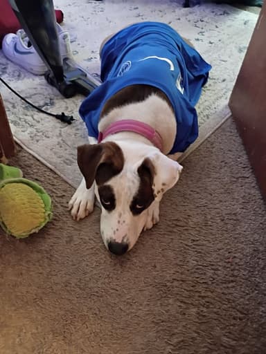 Profile Picture main user avatar