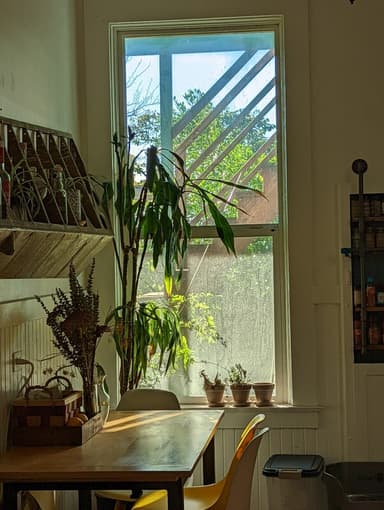 Place Preview main user avatar