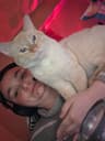 main user avatar