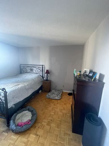 Place Preview main user avatar