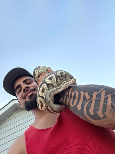 Profile Picture main user avatar