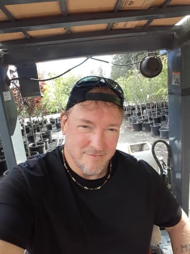 Profile Picture main user avatar