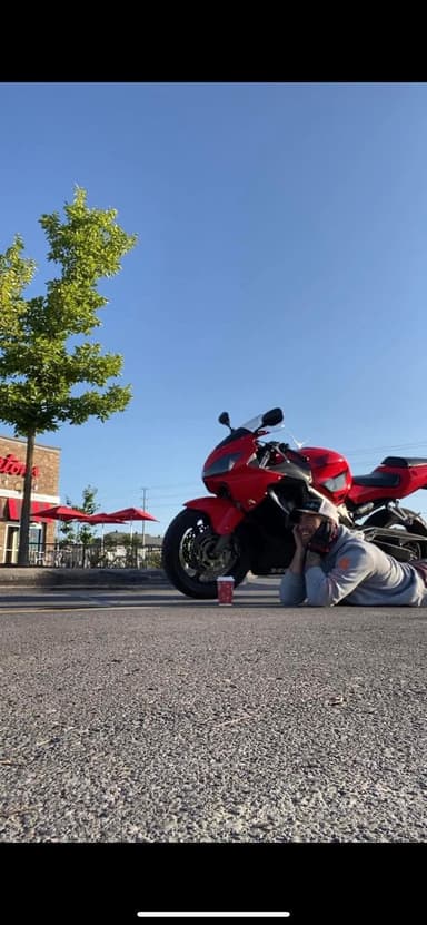 Profile Picture main user avatar