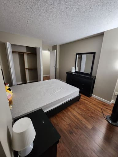 Place Preview main user avatar