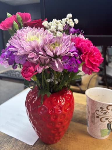 Place Preview main user avatar