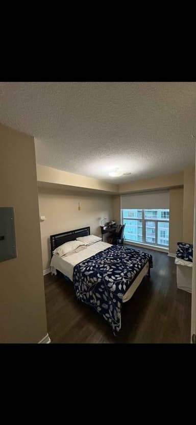 Place Preview main user avatar