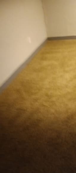 Jolynne Bennett Ferrell