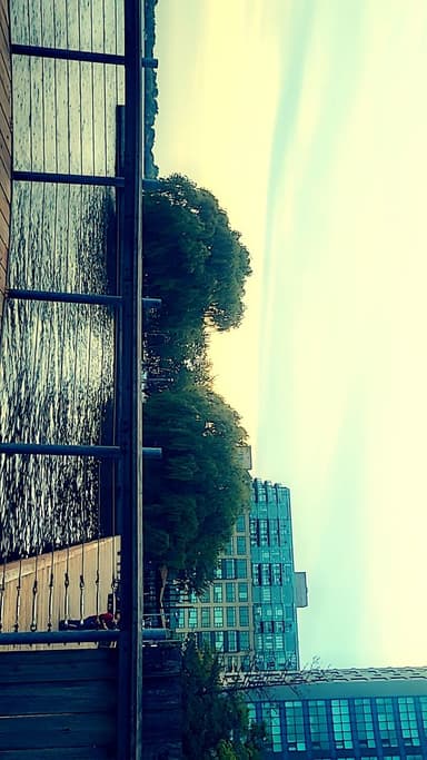 Profile Picture main user avatar