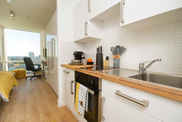 Skyline Deluxe Studio main photo