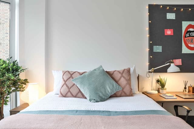 Bronze Studio Plus main photo