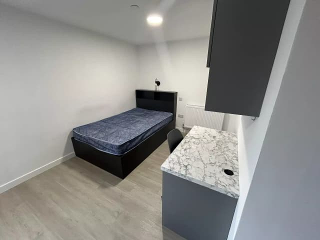 Gold Plus Studio main photo